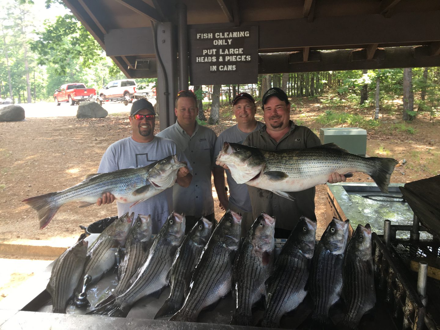 Four people under a shelter holding large fish. Many fish are laid out in front of them. Trees and a sign about fish cleaning in the background.